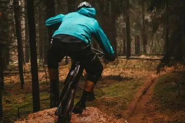VTT