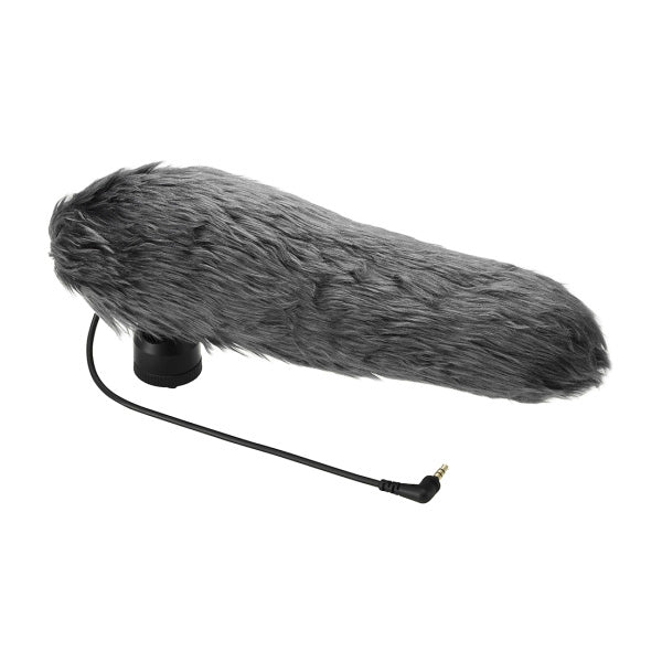 Microphone Stéréo Panasonic DMW-MS2