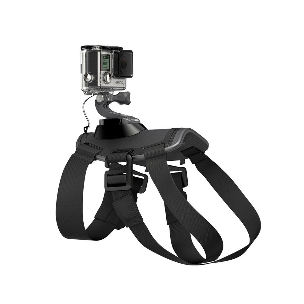 Harnais Gopro Fetch pour Chien