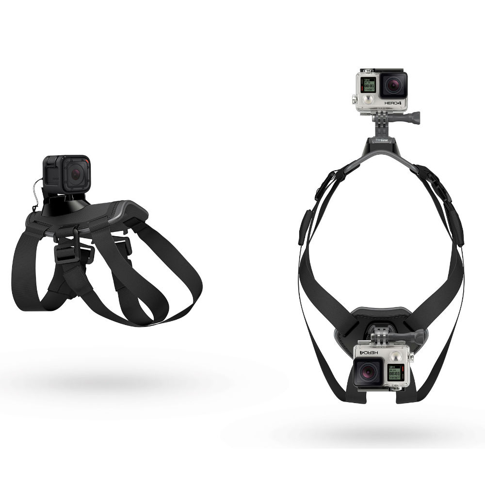 Harnais Gopro Fetch pour Chien