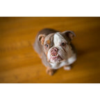 Lensbaby Velvet 56 Sony E-Mount Black