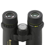 Vanguard BaK4 Endeavor ED II 1042