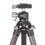 Leofoto Ranger LS-224C + rotule LH-25