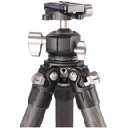 Leofoto Ranger LS-284C + Rotule LH30