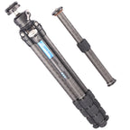 Leofoto Ranger LS-284C + Rotule LH30