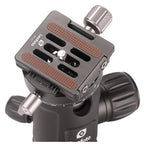Leofoto NB-34 + NP-50 Ball Head with PC