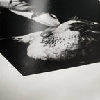 Hahnemühle Photo Rag Baryta A4 25 Sheets