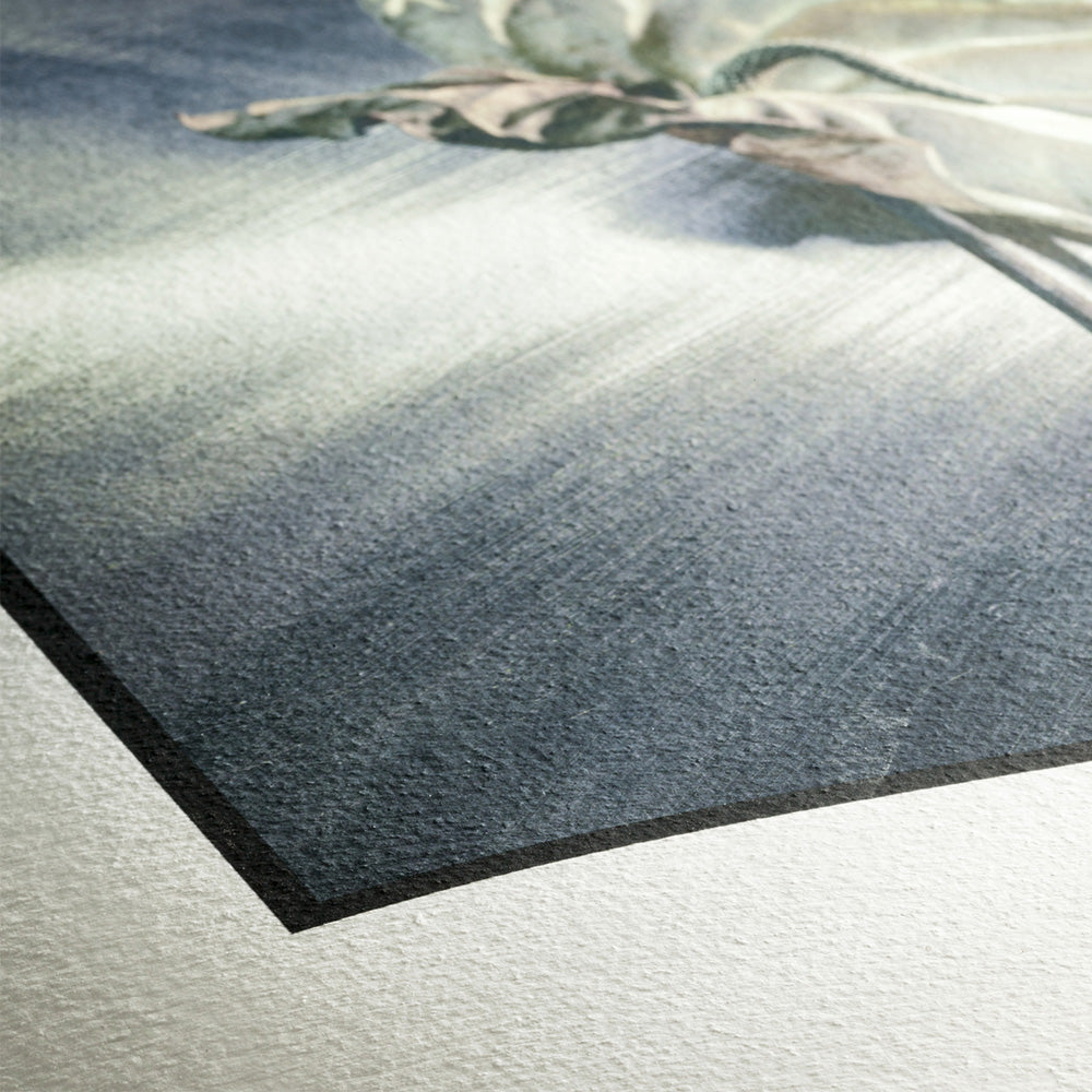 Hahnemuhle German Etching 310g Rouleau 610mm x 12m