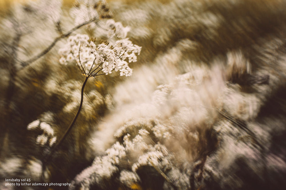 LensBaby Sol 45 Nikon