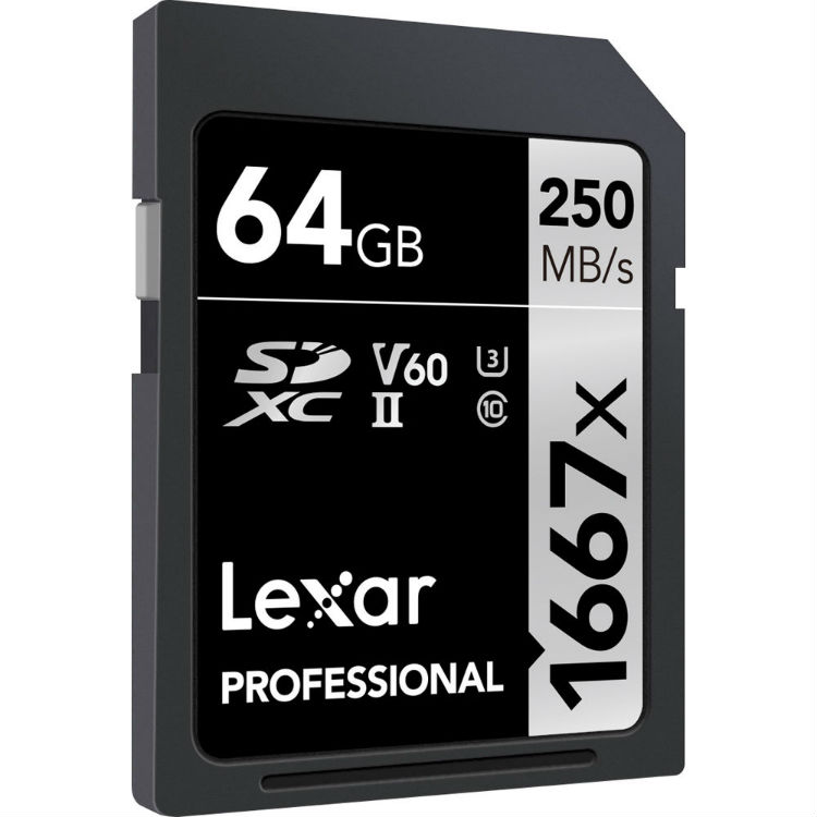 Lexar SDXC Professional 64 Go 1667x UHS-II