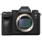 Sony Alpha 9 Mark II + FE 200-600mm f/5.6-6.3 G OSS