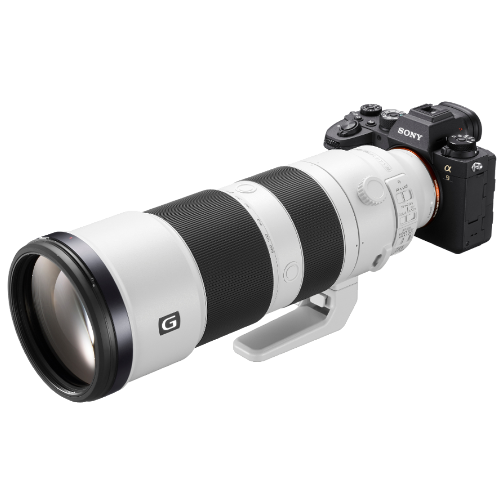 Sony Alpha 9 Mark II + FE 200-600mm f/5.6-6.3 G OSS