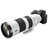 Sony Alpha 9 Mark II + FE 200-600mm f/5.6-6.3 G OSS