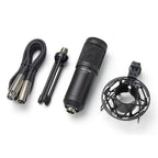 Tascam TM-70 microphone