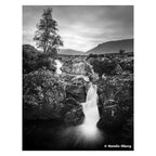 Ilford Ortho Plus 120 sw Film