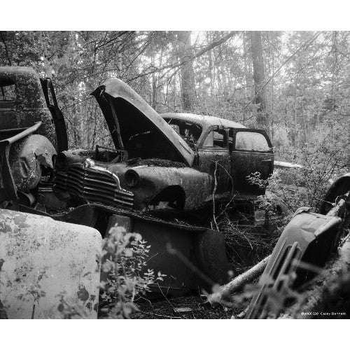 CineStill BWxx (Double-X negative) 120