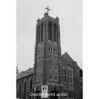 Cinestill DF96 Monobath Poudre