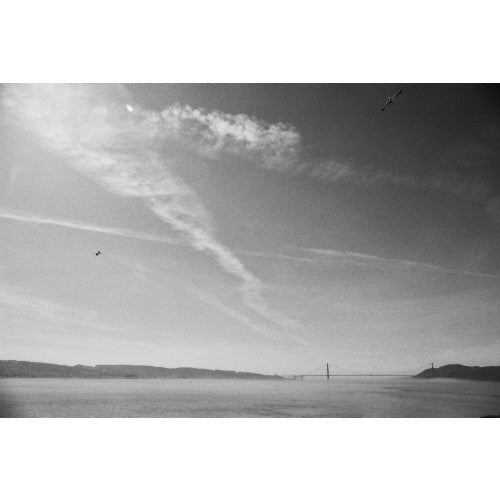 Cinestill DF96 Monobath Poudre