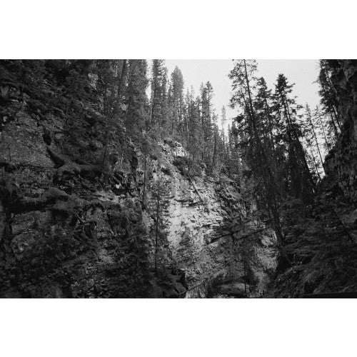 Cinestill DF96 Monobath Poudre
