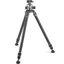 Kit Systematic Série 3 avec Rotule ser 4 LR Gitzo GK3533LS-83LR