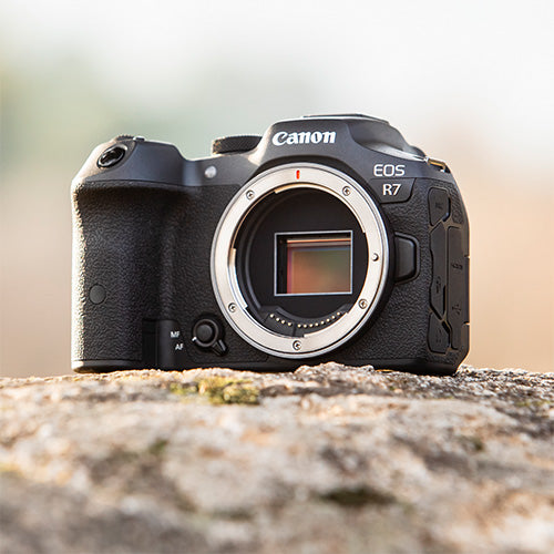 Canon EOS R7 boitier
