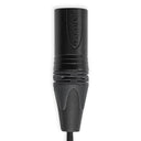 Tentacle To XLR Câble, Jack Câble