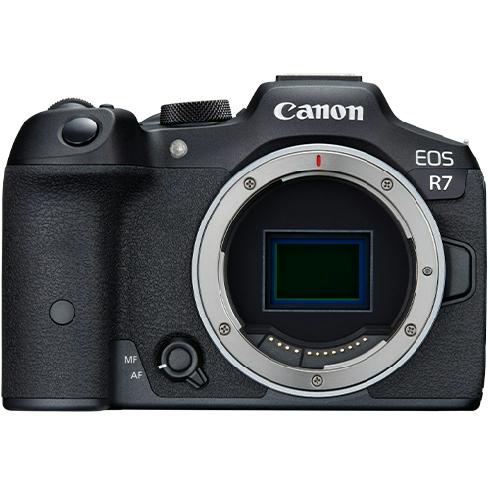 Canon EOS R7 + RF 50mm f/1.8 STM