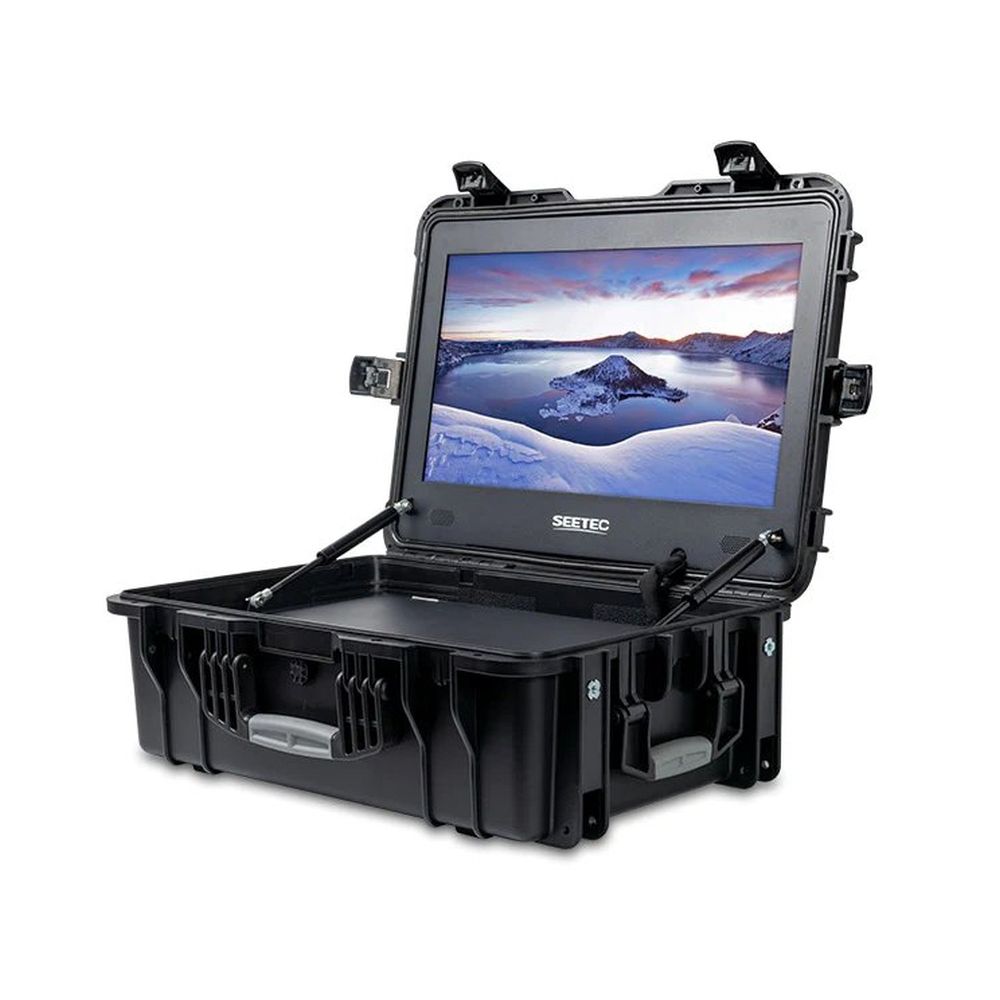 Moniteur de diffusion Feelworld Seetec 21,5" WPC215