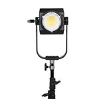 Lampe LED bicolore Nanlite Forza 500B II