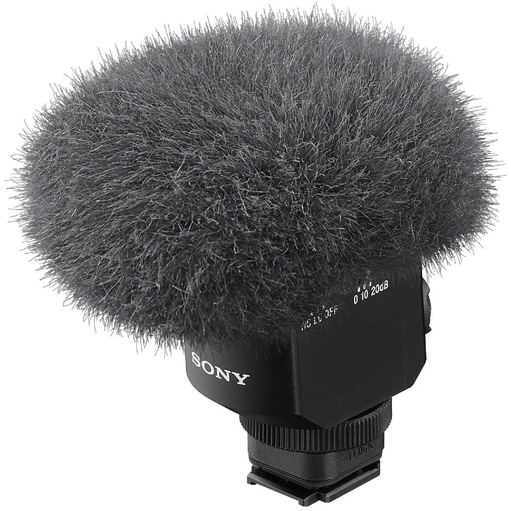 Sony Microphone Canon ECM-M1