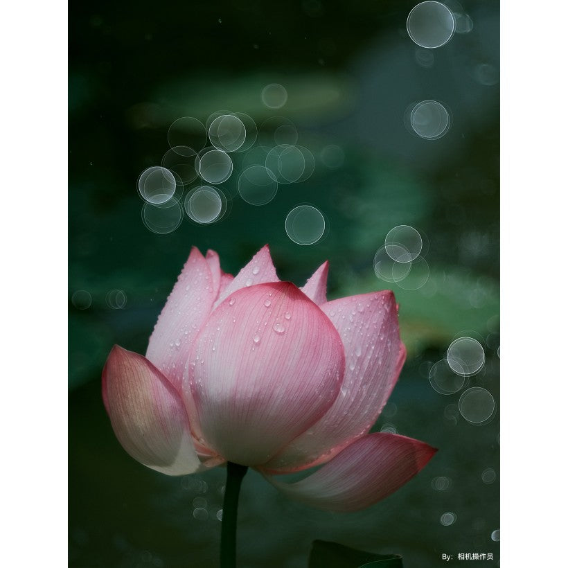 TTArtisan 100mm f/2.8 Bubble Bokeh M42