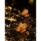 TTArtisan 100mm f/2.8 Bubble Bokeh M42
