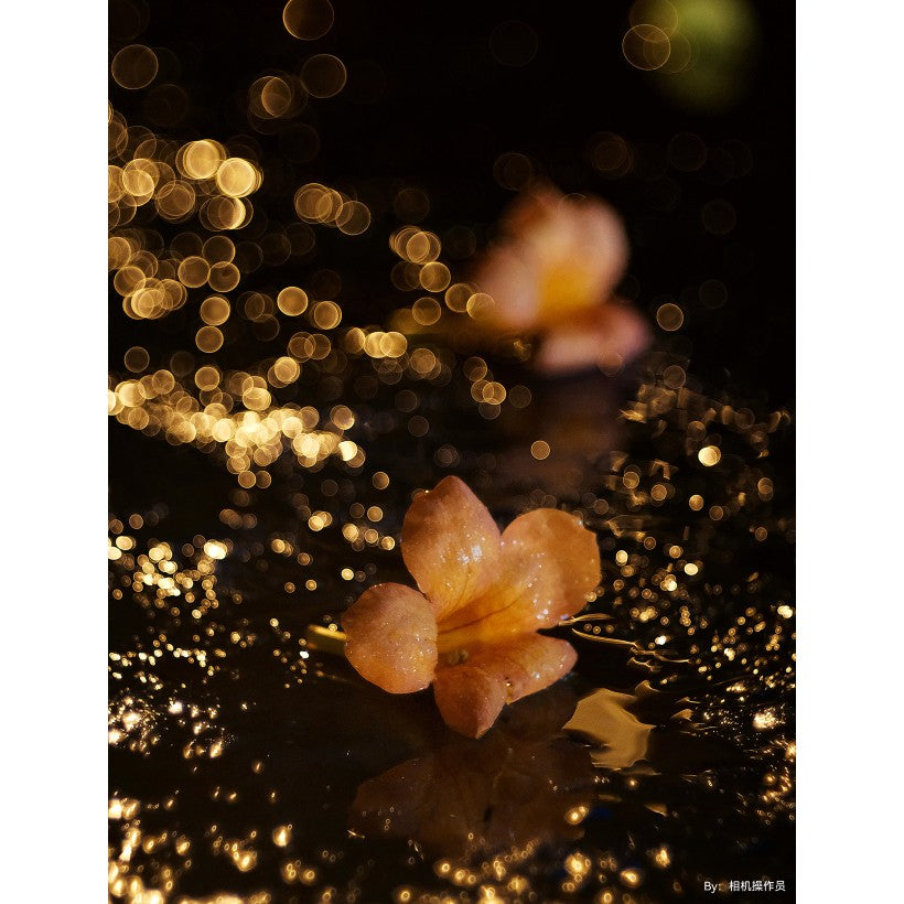 TTArtisan 100mm f/2.8 Bubble Bokeh M42
