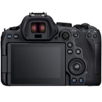 Canon EOS R6 mark II + RF 100-500mm f/4.5-7.1L IS USM