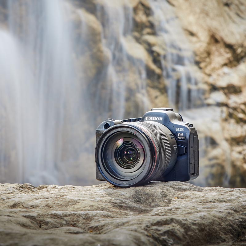 Canon EOS R6 II + RF 50mm f/1.8 STM