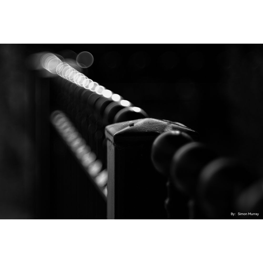 TTArtisan 100mm f/2.8 bulle bokeh Leica M