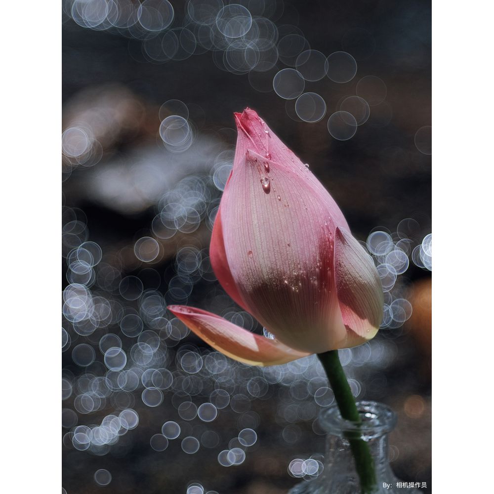 TTArtisan 100mm f/2.8 bulle bokeh Leica M