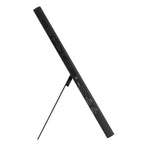 Moniteur OLED portable 4K ASUS ProArt PA169CDV