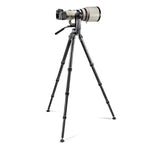 Gitzo D110879 Pivot d'inclinaison
