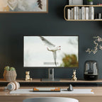 Moniteur Alogic Clarity Max 32" UHD 4K / PD 65W
