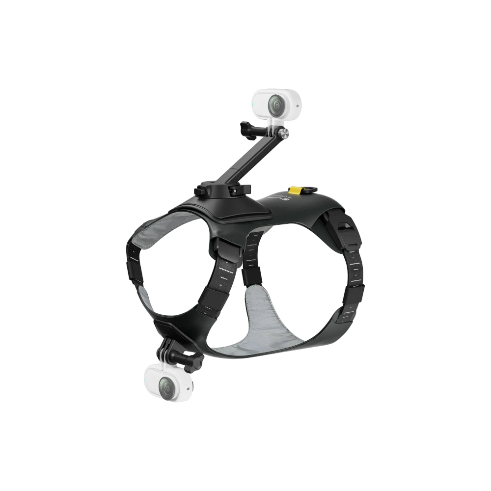 Harnais Insta360 pour animaux de compagnie Taille S