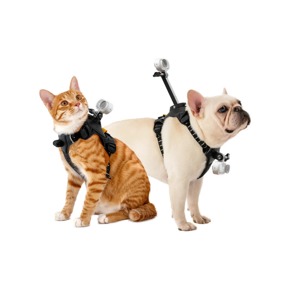 Harnais Insta360 pour animaux de compagnie Taille S