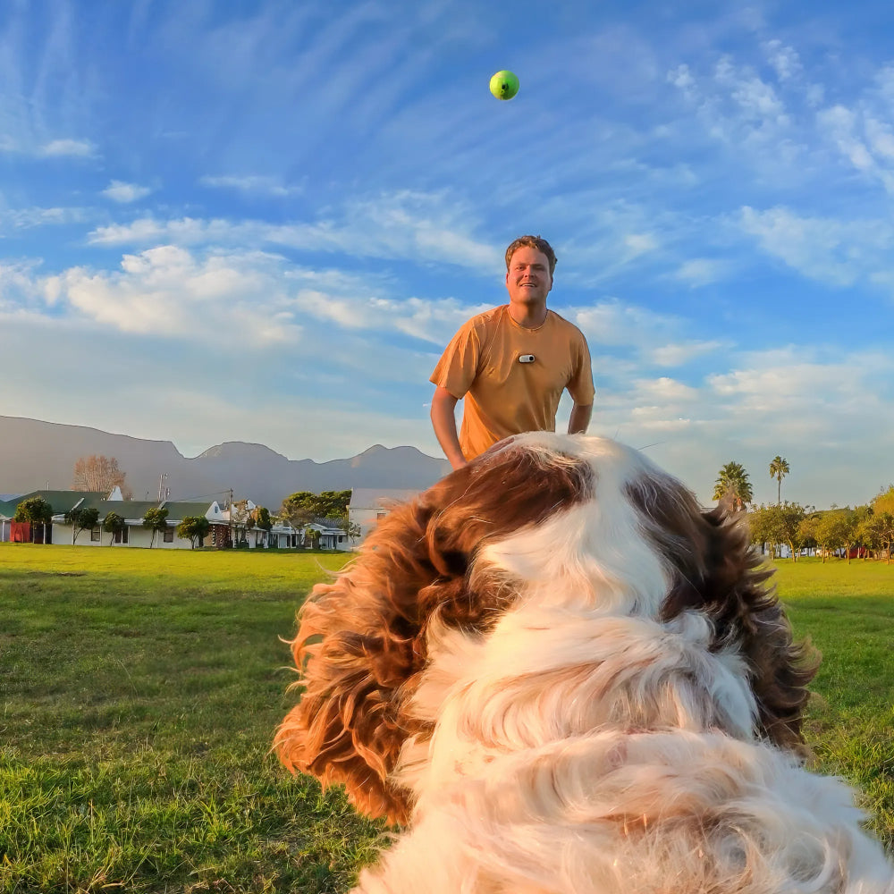 Harnais Insta360 pour animaux de compagnie Taille S