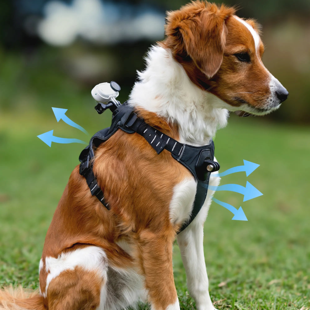 Harnais Insta360 pour animaux de compagnie Taille S