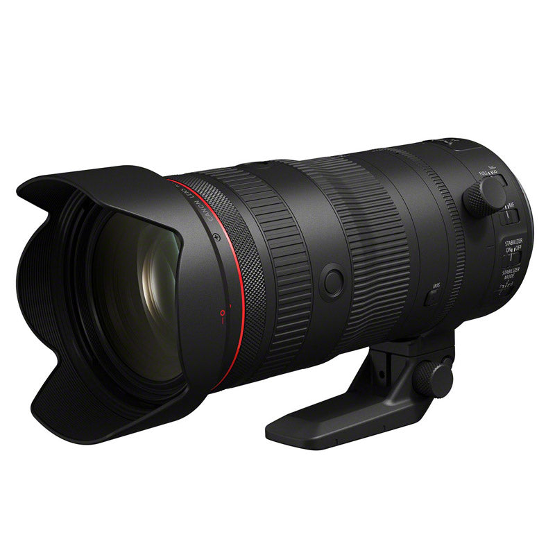 Canon EOS R6 Mark II + RF 24-105mm f/2.8 L IS USM Z
