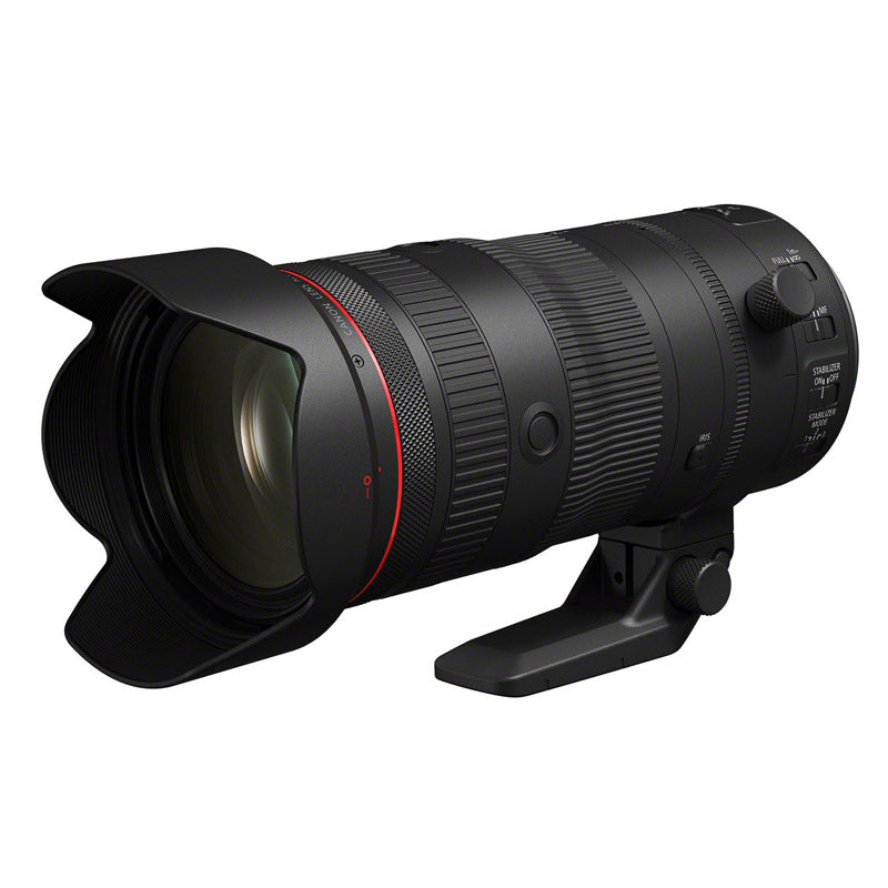 Canon EOS R6 Mark II + RF 24-105mm f/2.8 L IS USM Z