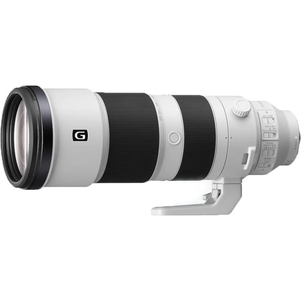Sony A7R V + 200-600mm