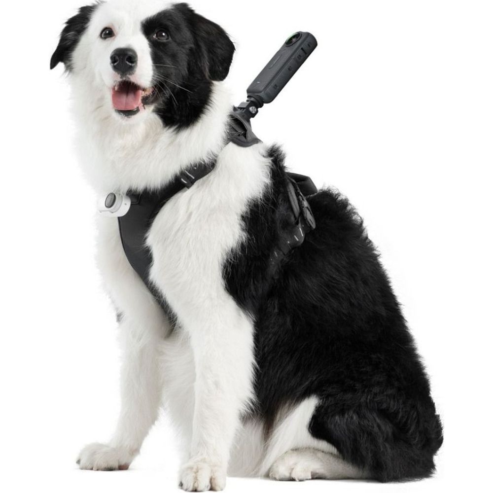 INSTA360 Support de harnais pour animaux de compagnie Taille L