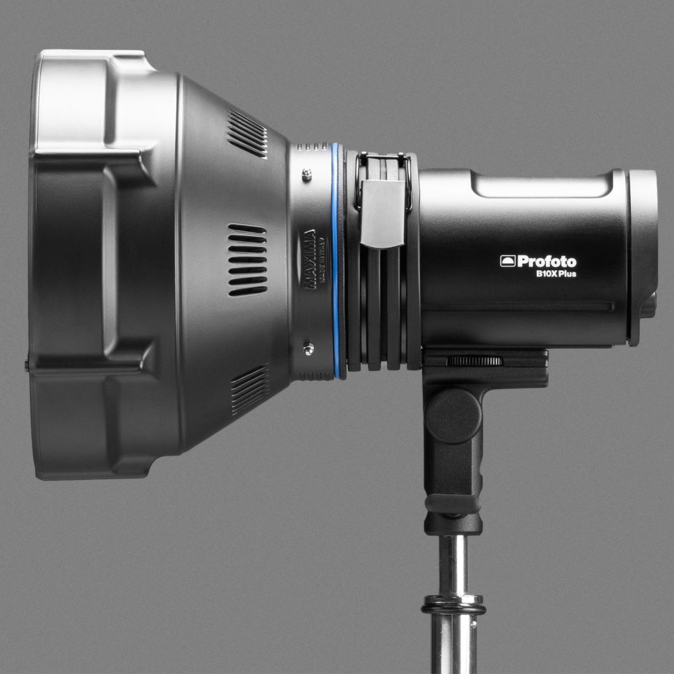 Maxima Fresnel profoto native