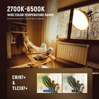 Lampe LED bicolore Neewer CB300B 320 W